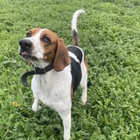 Photo of Wally