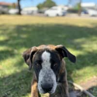 Photo of Rayne