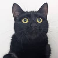 Photo of Lucifer