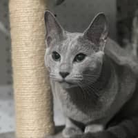 Photo of Elani 😻👑