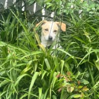 Photo of Bonnie Jrt