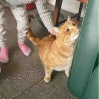 Photo of Lieutenant Dan