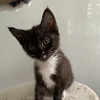 Photo of Zuko