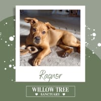 Photo of Ragnor