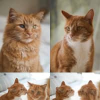 Photo of Finn & Percy