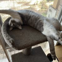 Photo of Bailey And Odin