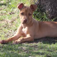 Photo of Dottie