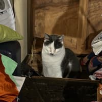 Photo of Cookie Mumma