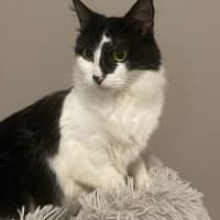 Photo of Roxy