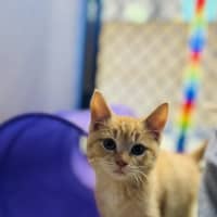 Photo of Gabriel