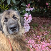 Photo of Hercules