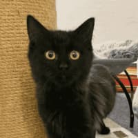 Photo of Sora