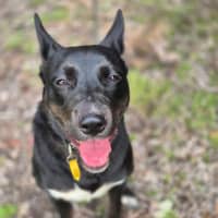 Photo of Sally