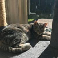 Photo of Sylvia