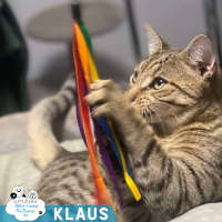 Photo of Klaus