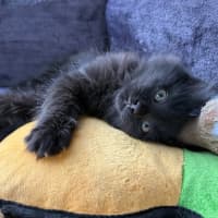 Photo of Void