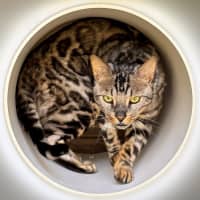 Photo of Monty Rsta012636