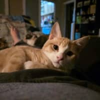Photo of Peewee 
