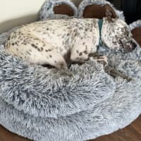 Photo of Andy