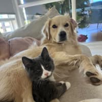 Photo of Lulu And Huey