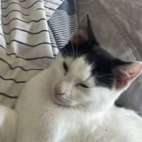 Photo of Scallywag
