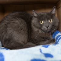 Photo of Martha