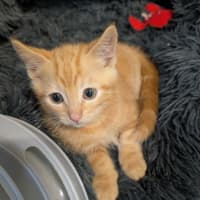Photo of Splash