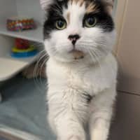 Photo of Ponyo