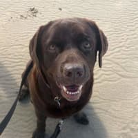 Photo of Coco