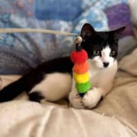 Photo of Cee Cee   Located In Eltham