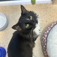 Photo of Bob