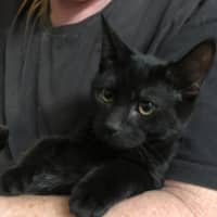 Photo of Billy And Zamora