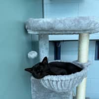 Photo of Sooty