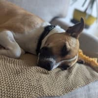 Photo of Rosemary Kumara