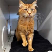 Photo of Sigmund 