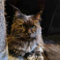 Photo of Ghetto & Gucci