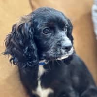 Photo of Marty