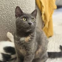 Photo of Adelita