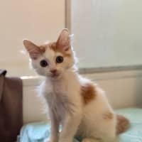 Photo of Bug
