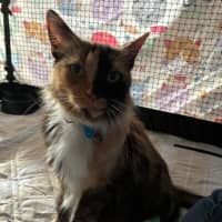 Photo of Isla