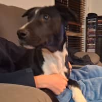 Photo of Buttons
