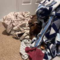 Photo of Peggy