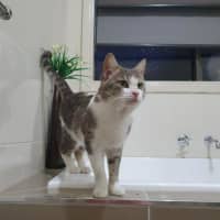 Photo of Chester Kumara