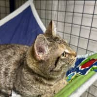 Photo of Monte Carlo