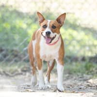 Photo of Bella
