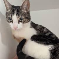 Photo of Suki