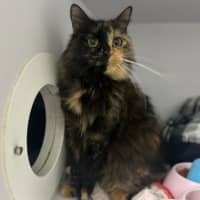 Photo of Mystique