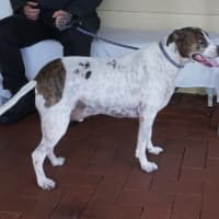 Photo of Percy