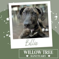 Photo of Billie