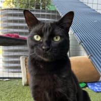 Photo of Faith Sta011629